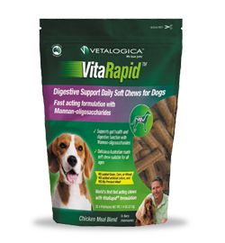VitaRapid® Digestive Support Daily Soft Chews for Dogs